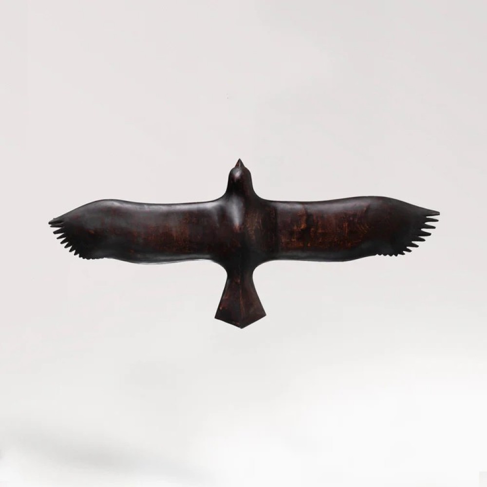 Soar Wall Art
